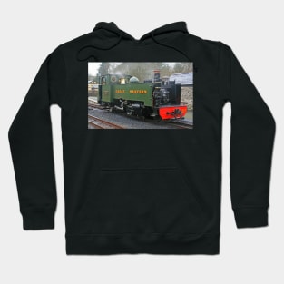 Locomotive #1213 - Vale of Rheidol Railway, February 2020 Hoodie